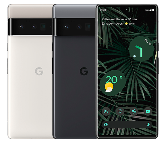 Google Pixel 6 Pro Cover